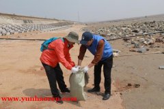 生物多样性日 清洁海岸义工团走进赣榆“金沙滩”守护蔚蓝