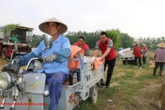 文明实践·时代新风︱帮扶先锋”助力群众“麦”进幸福路