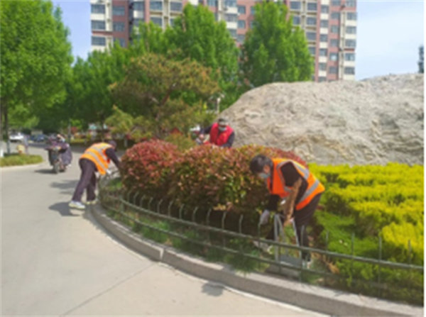  Dongfu Community of Xincheng Street: carry out patriotic health campaign of "civilization, health, green and environmental protection"