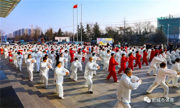 倡树新时代美德健康生活方式|肥城市太极拳大赛成功举办 300余人同场切磋技艺