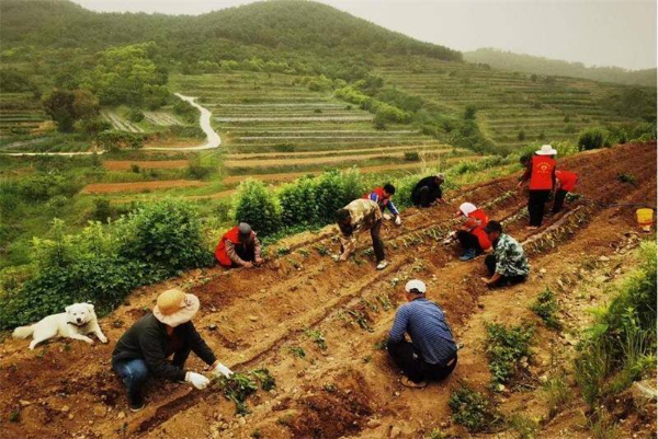 乳山市：美德信用+志愿服务 撂荒地变“希望田”