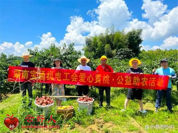  Hunan Leye went to Yanling, Zhuzhou to launch the activity of "Loving Yellow Peach · Live Broadcasting for Public Welfare"