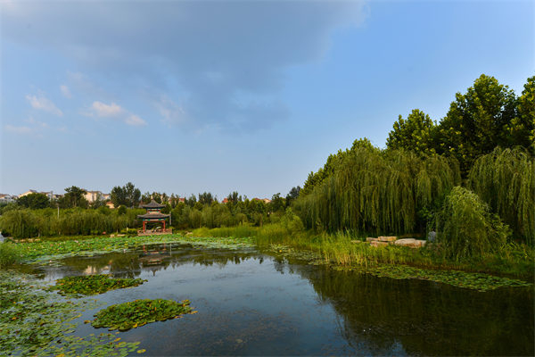 青州南阳河