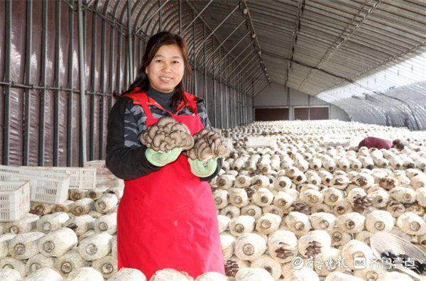  The 8th Provincial Moral Model | Liu Hua: the "mushroom champion" who has taken care of three elderly people for 20 years