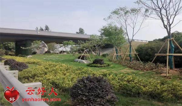  The "Four Modernizations" of Wulin Street in Yicheng District are Grasping Together to Make the Countryside Have Both Beauty and Temperament