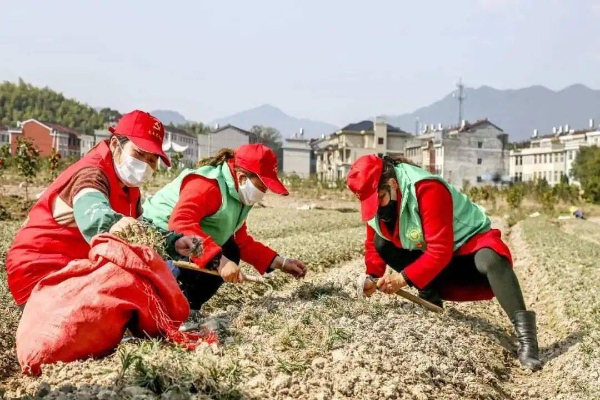 村里评模范之星，让默默无闻的好人成为一面面旗帜