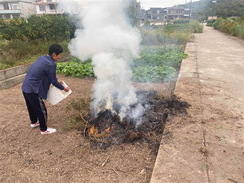 岱西镇开展秸秆露天焚烧专项整治行动