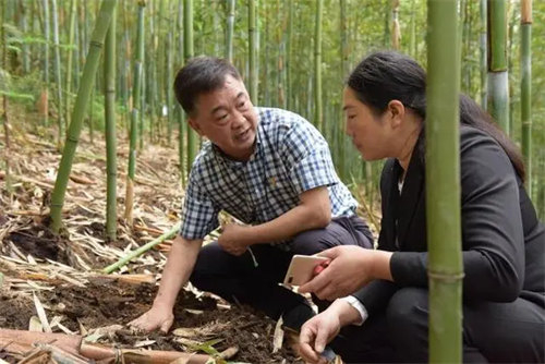 一辈子坚守大山，浙江农林大学校友登上“中国好人榜”