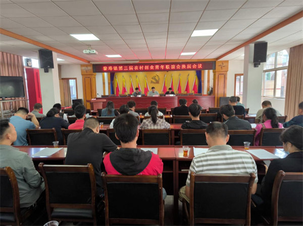  Focusing on the "Ten Million Project", the general meeting of Libu Town Rural Entrepreneurship Youth Association was successfully held