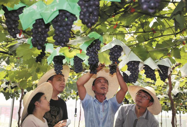 句容：道德模范引领文明“风向标”