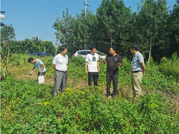 曲阜市武波：敢闯敢拼带头人 乐民富民当家人（敬业奉献）